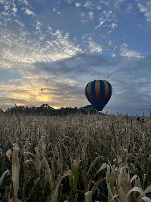 Crossroads Corn Maze 7