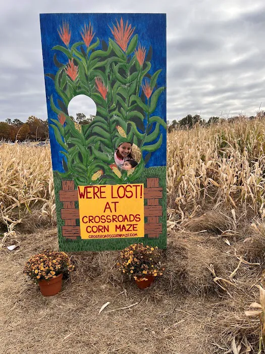 Crossroads Corn Maze 8