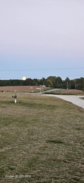 Crossroads Corn Maze 2