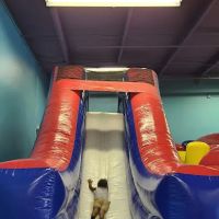 Woody's Jump n Play