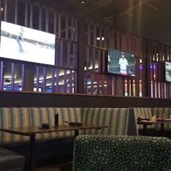 Spare Time Omaha ico