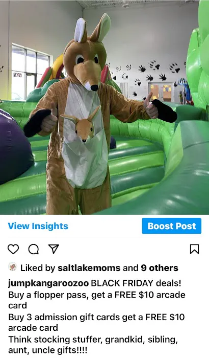 Kangaroo Zoo 5