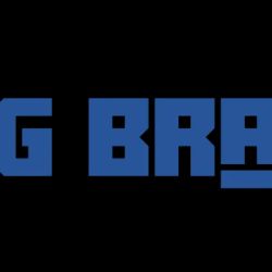 Big Brain Escape ico