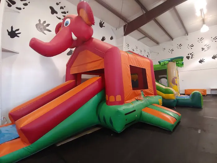 Kangaroo Zoo 3