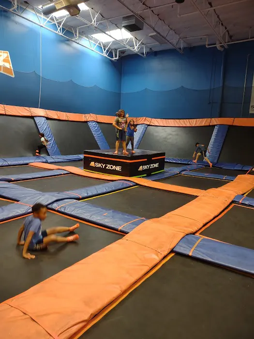 Sky Zone Trampoline Park 1