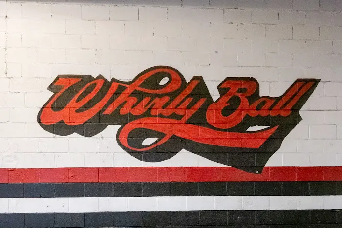 WhirlyBall Cleveland 4
