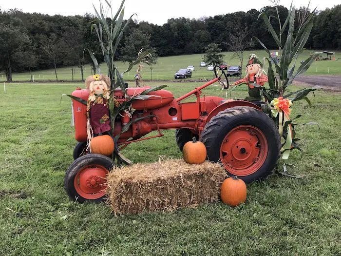 Rolling Acres Corn Maze 4