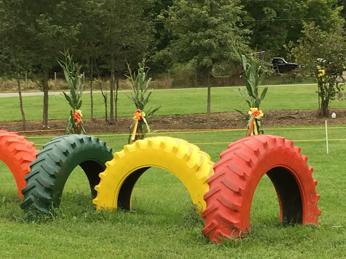 Rolling Acres Corn Maze 6