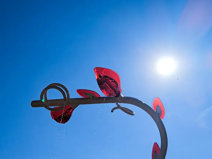 Frankie's splash pad 8