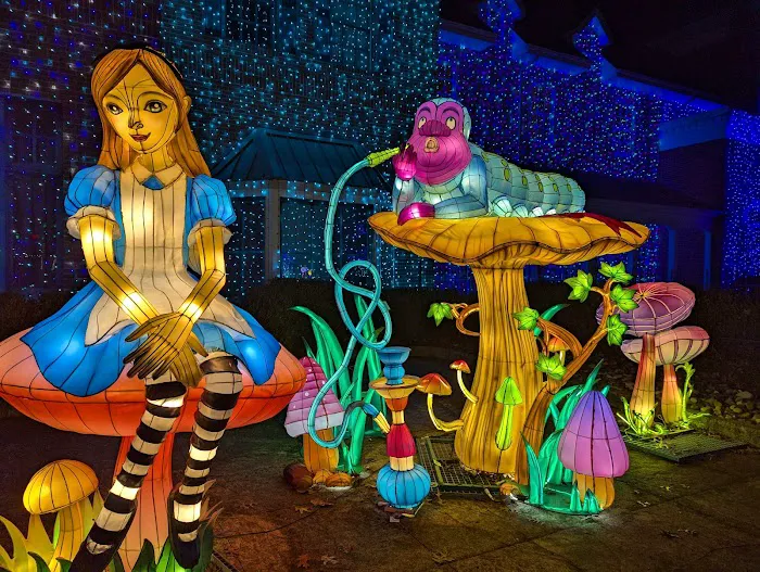 Garden of Lights - Ohio - Alice in Wonderland 3
