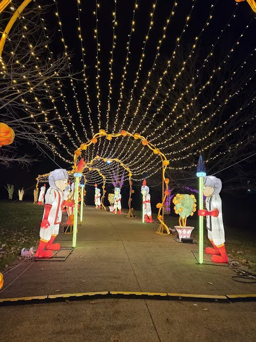 Garden of Lights - Ohio - Alice in Wonderland 7