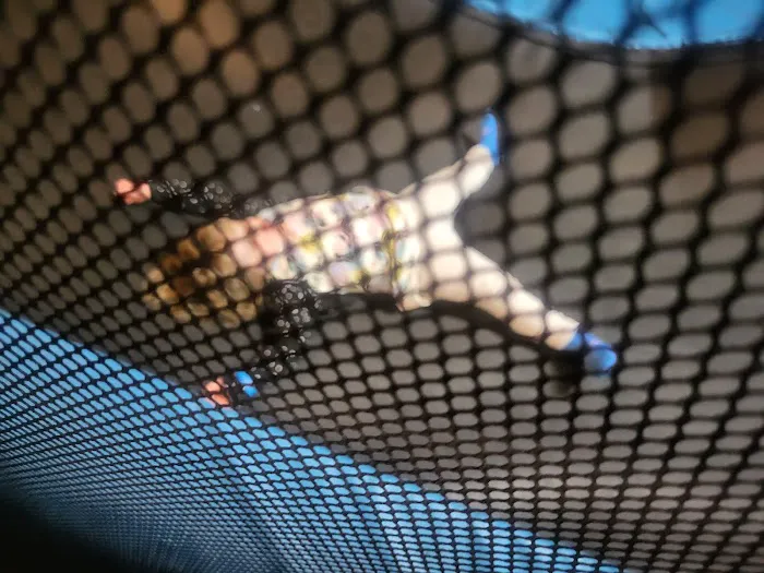 Altitude Trampoline Park - Pittsburgh/Bridgeville 1