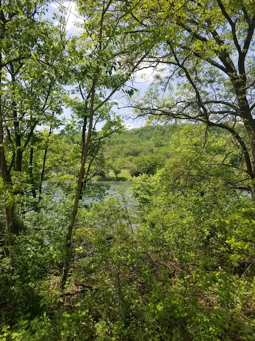Red Bank Creek/Allegheny River 4