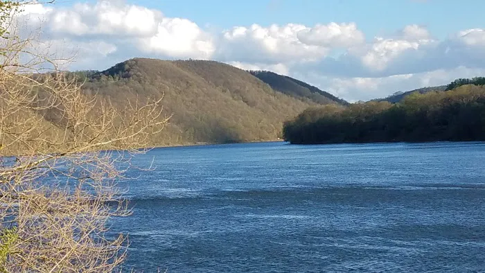 Red Bank Creek/Allegheny River 5