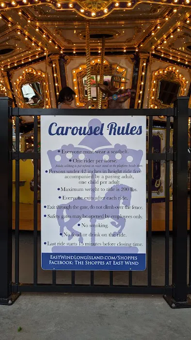 The Carousel at The Shoppes at East Wind 3