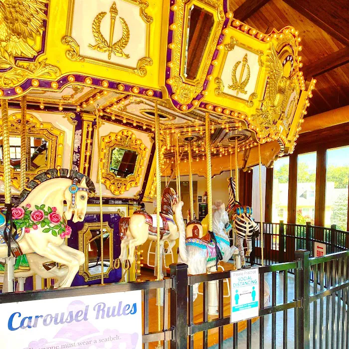 The Carousel at The Shoppes at East Wind 7