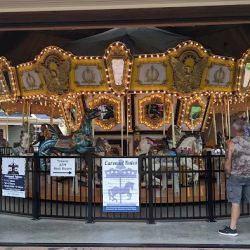 The Carousel at The Shoppes at East Wind ico