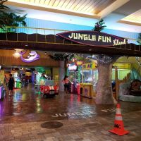 Jungle Fun Island