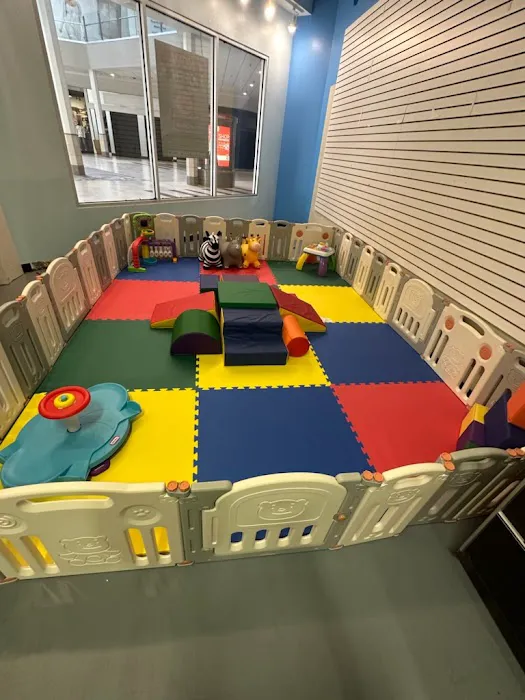 Bounce World CT 3