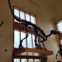 Discovery Depot at Nature's Art Village