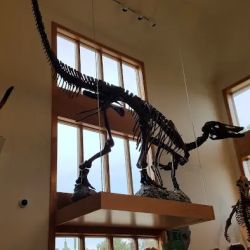 Discovery Depot at Nature's Art Village ico