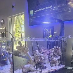 Boca Aquarium ico