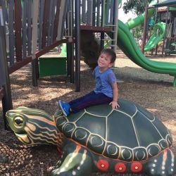 Rogers Park Splash Pad ico