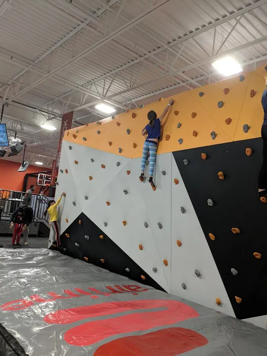 Launch Family Entertainment Ann Arbor 7