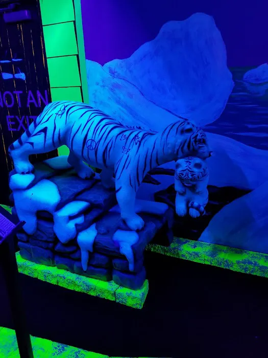 Escape Room Zone 8