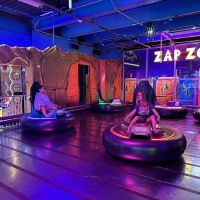Zap Zone