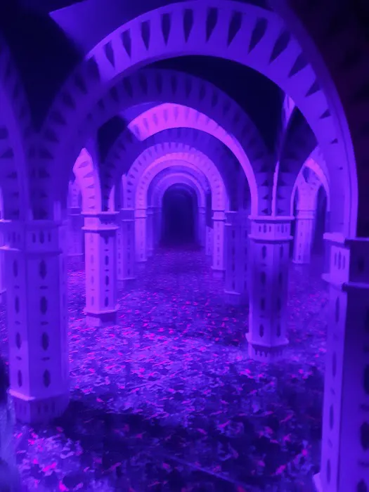 Ultimate Mirror Maze 8