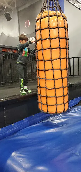 Airborne Adventure Park - Saginaw, MI 2