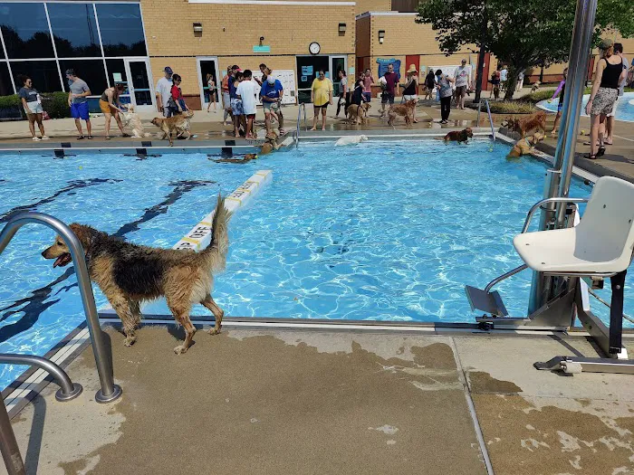 The Sidney and Lois Eskenazi Pool at the Arthur M. Glick JCC 7