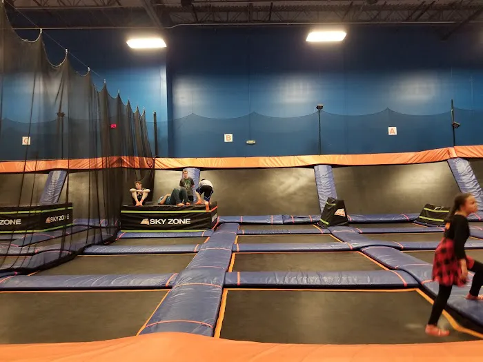 Sky Zone Trampoline Park 1