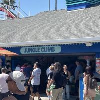 Jungle Climb