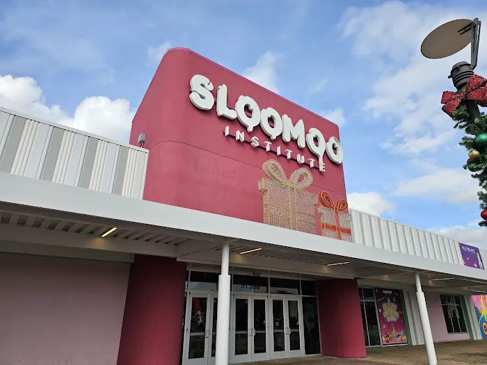 Sloomoo Institute - Houston 3