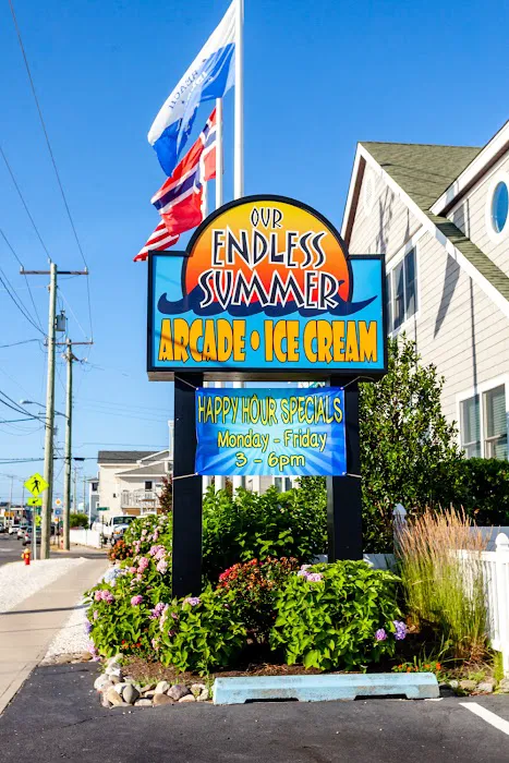 Our Endless Summer 7