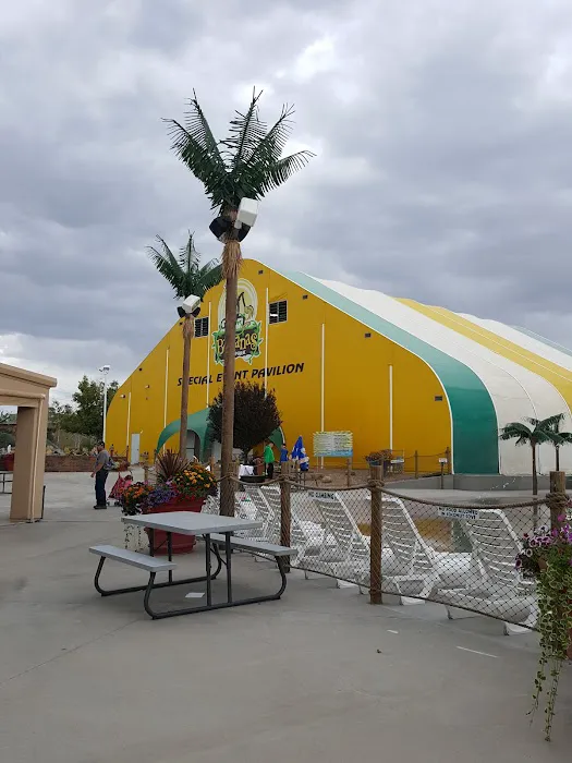 Bananas Fun Park 3