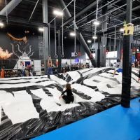 Airborne Lindon