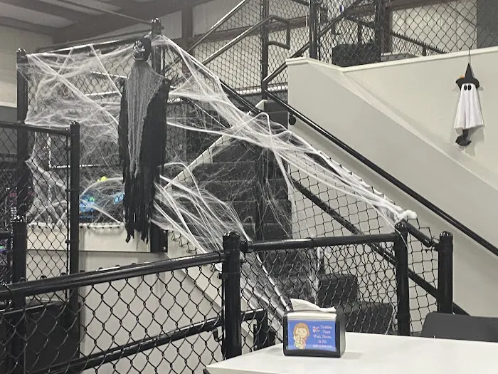 Leap Trampoline Park 0