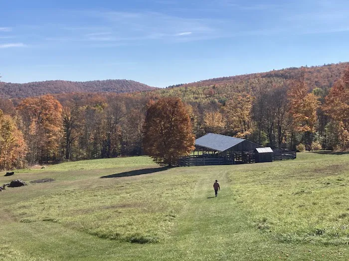 The Bunkhouse 6