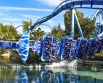 Discover Rides with Minimal Noise Levels for a Peaceful Amusement Park Experience