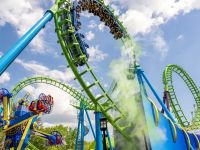 Safe and Fun Kid-Friendly Amusement Park Rides Without Drops for All Ages