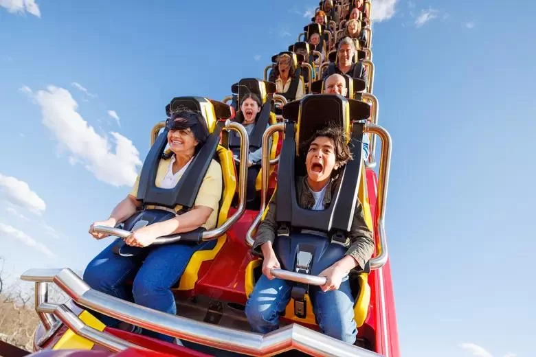 Experience the Thrill of Rides That Simulate Flying Through Forests – Immersive Adventures Await