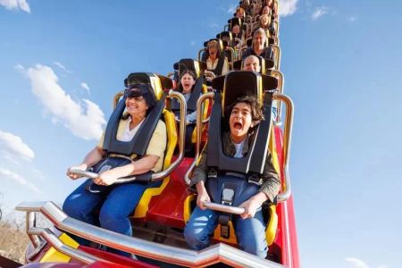 Experience the Thrill of Rides That Simulate Flying Through Forests – Immersive Adventures Await