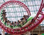 Amusement Park Rides That Require Fast Reflexes: Top Thrills and Safety Tips