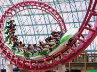 Amusement Park Rides That Require Fast Reflexes: Top Thrills and Safety Tips