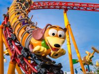 Rides with the Best Views at Amusement Parks You Must Experience