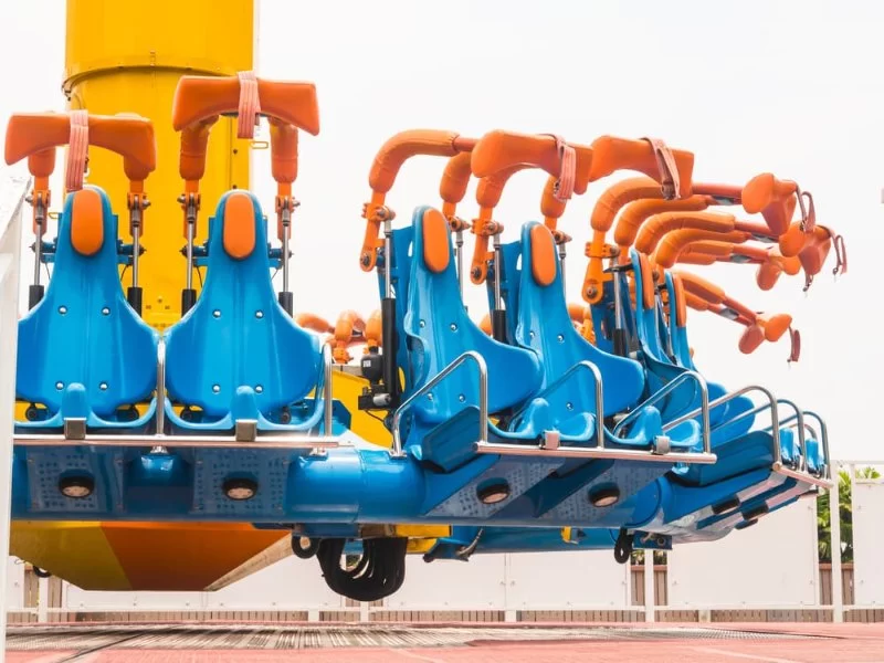 Can You Go to Amusement Park Pregnant? Safety Tips and Real Advice