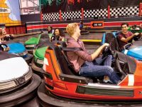 What Are the Rides in Amusement Parks | Complete Guide to Theme Park Attractions